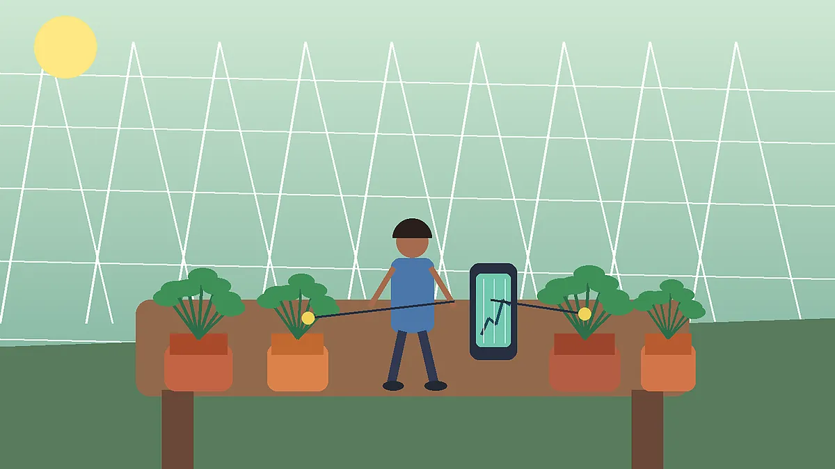 Une élève teste une machine artisanale qui mesure les réactions des plantes dans une serre.